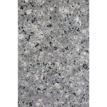 Nature Stone Austin Tx Bianco Antico Homogeneous Granite Tile